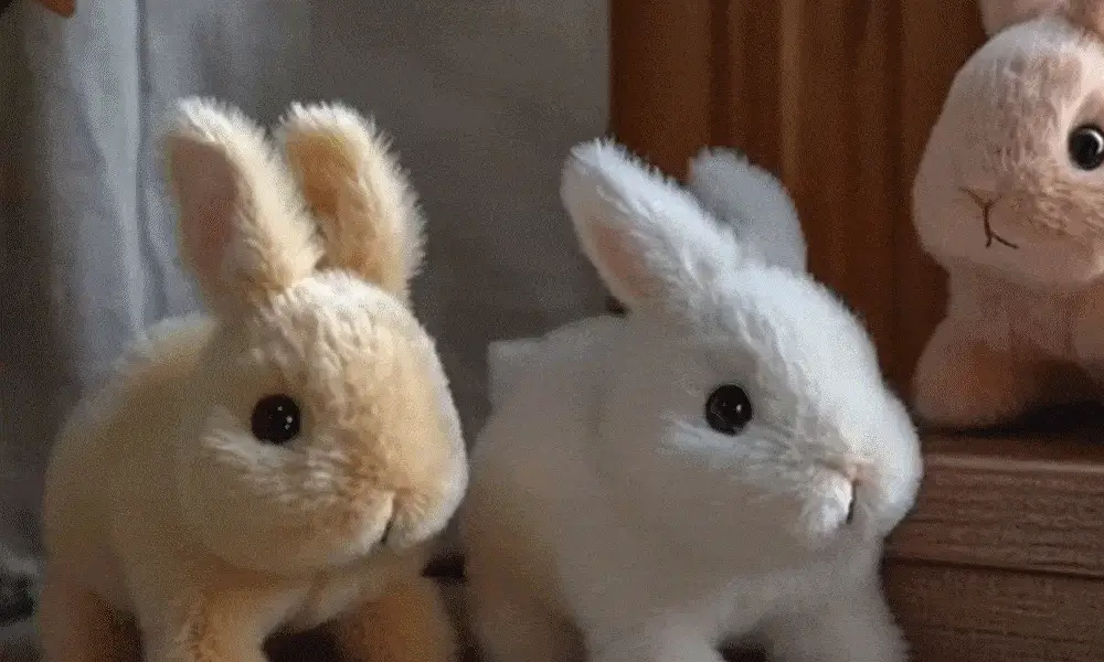 Lapin Pâques - Image 3